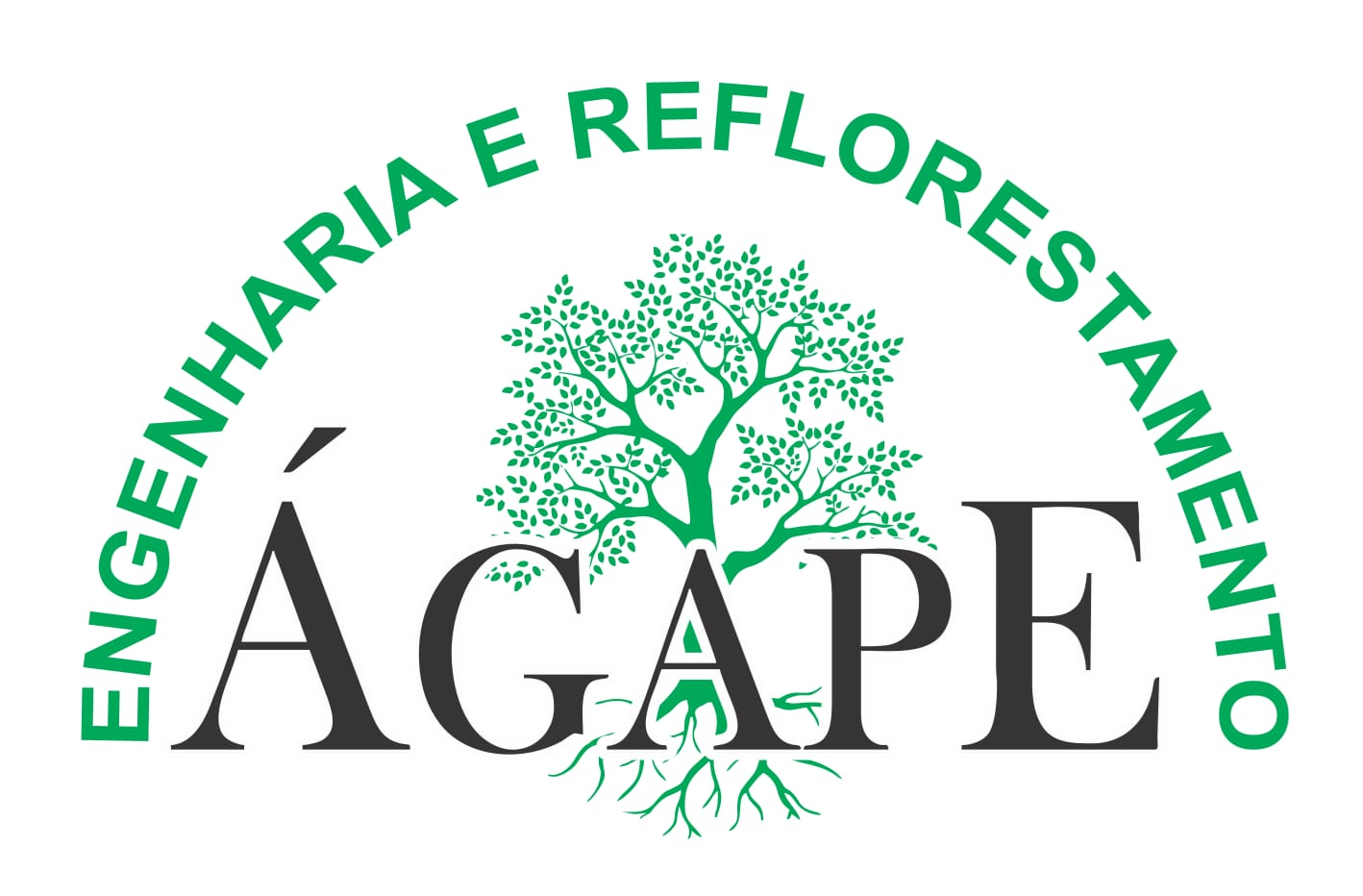 Agape Reflorestamento 